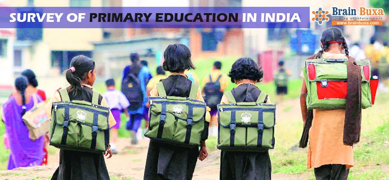 Survey of Primary Education in India